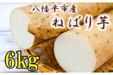 ＜岩手県産＞  敦子さんが育てた ねばり芋 6kg 【数量限定】 ／ 長いも 長芋 ねばり芋 ねばりいも ながいも 山芋 やまいも 山いも 農家直送 産地直送 とろろ とろろご飯 ご飯のおとも ご飯のお供 やまかけ 山かけ トロロ 旬 新鮮 野菜 岩手産 八幡平市産 おすすめ オススメ