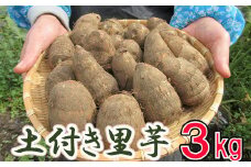 【2025年10月上旬から発送開始予定】 土付き 里芋 約3kg  ＜福祉事業所 ポパイの家＞  ／ さといも 里いも サトイモ 土付 野菜 旬 新鮮 期間限定 季節限定 根菜類 根菜 煮物 芋煮 コロッケ 味噌汁 みそ汁 おでん  産地直送 岩手県産 八幡平市産 おすすめ オススメ