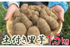 【2025年10月上旬から発送開始予定】 土付き 里芋 約1.5kg  ＜福祉事業所 ポパイの家＞  ／ さといも 里いも サトイモ 土付 野菜 旬 新鮮 期間限定 季節限定 根菜類 根菜 煮物 芋煮 コロッケ 味噌汁 みそ汁 おでん 産地直送 岩手県産 八幡平市産 おすすめ オススメ