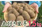 就労継続支援Ｂ型ポパイの家の里芋です