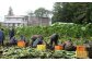 「ポパイの家」の利用者さんが種まき・草取り・収穫までを行っています