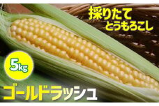 【早期予約】7月中旬発送開始予定 岩手県産 スイートコーン ゴールドラッシュ 5kg みうら農園 ／ とうもろこし トウモロコシ コーン 野菜 夏野菜 新鮮 旬 採れたて 期間限定 季節限定 数量限定 美味しい おいしい 八幡平市産 産地直送 農家直送 岩手県 八幡平市 おすすめ 冷蔵配送