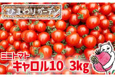 【2025年7月中旬より順次発送開始予定】 岩手県産 EM栽培 ミニトマト キャロル10 約3kg ／ とまと ミニ トマト 新鮮 サラダ トマトジュース お弁当 夏野菜 プチトマト 旬 期間限定 季節限定 野菜 お野菜 八幡平市産 産地直送 農家直送 国産 オススメ おすすめ ひまわりガーデン