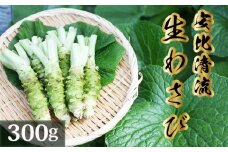 岩手県産 生わさび 300g 【安比清流山葵園】 ／ 山葵 ワサビ わさび 薬味 国産 八幡平市産 産地直送 新鮮 調味料 刺身 ステーキ お肉 蕎麦 和え物 漬け物 刻み おろし 辛味 和食 お寿司 そば 肉の薬味 魚の薬味 そばの薬味 料理 自宅用 家庭用 おすすめ オススメ お取り寄せ 日本産