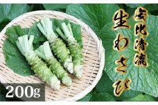 岩手県産 生わさび 200g 【安比清流山葵園】 ／ 山葵 ワサビ わさび 薬味 国産 八幡平市産 産地直送 新鮮 調味料 刺身 ステーキ お肉 蕎麦 和え物 漬け物 刻み おろし 辛味 和食 お寿司 そば 肉の薬味 魚の薬味 そばの薬味 料理 自宅用 家庭用 おすすめ オススメ お取り寄せ 日本産