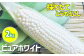 真っ白なトウモロコシ