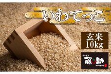 【令和7年産】 新米 11月上旬発送開始予定 いわてっこ 玄米 10kg ／ 十一代目藤助 こめ 米 コメ お米 おこめ ご飯 ごはん げんまい おにぎり お弁当 仕送り お取り寄せ 産地直送 農家直送 単一原料米 国産 国産米 東北 岩手県産 八幡平市産 数量限定 おすすめ