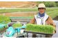 十一代目藤助の古川さん