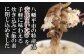 八幡平産の野菜もたっぷり使用 ※パッケージのデザインは変わる場合があります。