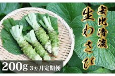 岩手県産 生わさび 200g 3ヶ月定期便 【安比清流山葵園】 ／ 山葵 ワサビ わさび 薬味 国産 八幡平市産 産地直送 新鮮 調味料 刺身 ステーキ お肉 蕎麦 和え物 漬け物 刻み おろし 辛味 和食 お寿司 そば 肉の薬味 魚の薬味 そばの薬味 料理 おすすめ オススメ 日本産
