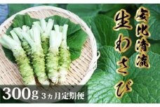 岩手県産 生わさび 300g 3ヶ月定期便 【安比清流山葵園】 ／ 山葵 ワサビ わさび 薬味 国産 八幡平市産 産地直送 新鮮 調味料 刺身 ステーキ お肉 蕎麦 和え物 漬け物 刻み おろし 辛味 和食 お寿司 そば 肉の薬味 魚の薬味 そばの薬味 料理 おすすめ オススメ 日本産