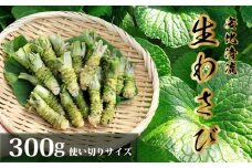 岩手県産 生わさび 使い切りサイズ 300g 【安比清流山葵園】 ／ 山葵 ワサビ わさび 薬味 国産 八幡平市産 産地直送 新鮮 調味料 刺身 ステーキ お肉 蕎麦 和え物 漬け物 刻み おろし 辛味 和食 お寿司 そば 肉の薬味 魚の薬味 そばの薬味 料理 自宅用 家庭用 おすすめ オススメ