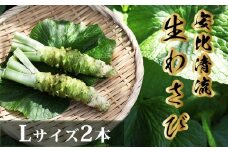 岩手県産 生わさび  (Lサイズ) 1本70g以上のもの確約 2本セット 【安比清流山葵園】 ／ 山葵 ワサビ わさび 薬味 国産 八幡平市産 産地直送 新鮮 調味料 刺身 ステーキ 蕎麦 和え物 漬け物 刻み おろし 辛味 和食 お寿司 そば 肉の薬味 魚の薬味 そばの薬味 おすすめ オススメ
