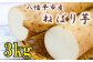 長芋と大和芋のかけ合わせた新しい品種の山芋です。