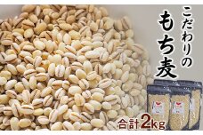 岩手県産 もち麦 はねうまもち 2kg （500g×4袋） 【 十一代目藤助】 ／ もちむぎ 雑穀 雑穀米 2キロ もち麦ご飯 ご飯 ごはん 麦ごはん 麦ご飯 お粥 おかゆ 主食 手軽 混ぜるだけ 混ぜて炊くだけ 簡単 お手軽 小分け 便利 ジッパー付き 農家直送 産地直送 国産 八幡平市産