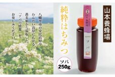 純粋はちみつ ソバ 250g 【山本養蜂場】 ／ はちみつ ハチミツ 蜂蜜 そば 蕎麦 ギフト 贈り物 お土産 おみやげ 手土産 家庭用 自宅用 お取り寄せ 取寄せ 純粋 稀少 希少 常温発送 長期保存 料理 隠し味 お菓子作り 国産 東北 岩手県 八幡平市 産地直送 人気 おすすめ オススメ