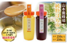 純粋はちみつ トチ&ソバ 各250g 【山本養蜂場】 ／ はちみつ ハチミツ 蜂蜜 そば 蕎麦 栃 とち ギフト 贈り物 家庭用 自宅用 食べ比べ 味比べ お試し 2種 2種類 稀少 希少 お土産 おみやげ 手土産 常温発送 長期保存 東北 岩手県 八幡平市 産地直送 人気 おすすめ オススメ