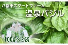 岩手県産 温泉バジル 100g×2袋 ／ バジル 生バジル 新鮮 生 薬味 ハーブ 国産 八幡平市産 イタリアン 産地直送 農家直送 常温発送 ジェノベーゼ 料理 ソース ピザ ピッツァ 調理 パスタ 炒め物 100グラム×2袋 200g 200グラム オススメ おすすめ 八幡平スマートファーム