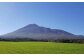 ～春～雄大な岩手山の麓で、みつばちは元気に蜜を集めます！