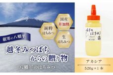 【八幡平産】 アカシア 蜂蜜 非加熱 520g ／ はちみつ ハチミツ ハニー あかしあ アカシヤ あかしや 国内産 八幡平市産 紅茶 コーヒー ホットミルク ヨーグルト ホットケーキ アイス パン トースト プレゼント 贈り物 家庭用 自宅用 東北 人気 おすすめ オススメ 【高橋養蜂】