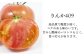「りんか409」または「桃太郎みなみ」のどちらかをお届けします