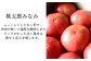 「りんか409」または「桃太郎みなみ」のどちらかをお届けします