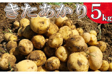 ＜2025年8月中旬発送開始予定＞  岩手県産 じゃがいも きたあかり 5kg 【松浦農園】／ ジャガイモ じゃが芋 キタアカリ 芋 いも お芋 おいも 農家直送 産地直送 旬 野菜 お野菜 八幡平市産 期間限定 数量限定 季節限定 美味しい おいしい コロッケ じゃがバター おすすめ オススメ