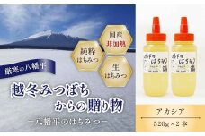 【八幡平産】 アカシア 蜂蜜 非加熱 520g×2本 ／ はちみつ ハチミツ ハニー あかしあ アカシヤ あかしや 国内産 八幡平市産 紅茶 コーヒー ホットミルク ヨーグルト ホットケーキ アイス パン トースト プレゼント 贈り物 家庭用 自宅用 東北 人気 おすすめ オススメ 【高橋養蜂】