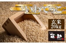 【令和7年産】 新米 11月上旬発送開始予定 いわてっこ 玄米 20kg ／ 十一代目藤助 こめ 米 コメ お米 おこめ ご飯 ごはん げんまい おにぎり お弁当 仕送り お取り寄せ 産地直送 農家直送 単一原料米 国産 国産米 東北 岩手県産 八幡平市産 数量限定 おすすめ
