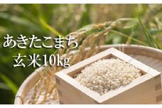 【令和7年産】 新米 10月中旬発送開始予定 あきたこまち 玄米 10kg ／ かきのうえ こめ 米 コメ お米 おこめ ご飯 ごはん げんまい おにぎり お弁当 仕送り お取り寄せ 産地直送 単一原料米 国産 国産米 東北 岩手県産 八幡平市産 おすすめ
