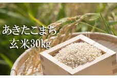 【令和7年産】 新米 10月中旬発送開始予定 あきたこまち 玄米 30kg （10kg×3袋） ／ かきのうえ こめ 米 コメ お米 おこめ ご飯 ごはん げんまい おにぎり お弁当 仕送り お取り寄せ 産地直送 単一原料米 国産 国産米 東北 岩手県産 八幡平市産 おすすめ