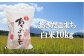 ※画像はイメージです。