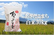 【令和7年産】 新米 10月中旬発送開始予定 あきたこまち 精米 30kg （10kg×3袋） ／ かきのうえ こめ 米 コメ お米 おこめ 白米 白飯 ご飯 ごはん おにぎり お弁当 仕送り お取り寄せ 産地直送 単一原料米 国産 国産米 東北 岩手県産 八幡平市産 おすすめ