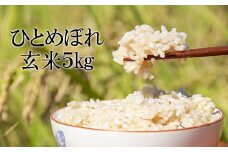 【令和7年産】 新米 10月中旬発送開始予定 ひとめぼれ 玄米 5kg ／ かきのうえ こめ 米 コメ お米 おこめ ご飯 ごはん げんまい おにぎり お弁当 仕送り お取り寄せ 産地直送 単一原料米 国産 国産米 東北 岩手県産 八幡平市産 おすすめ