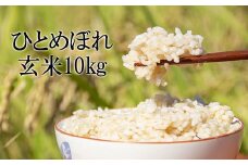 【令和7年産】 新米 10月中旬発送開始予定 ひとめぼれ 玄米 10kg ／ かきのうえ こめ 米 コメ お米 おこめ ご飯 ごはん げんまい おにぎり お弁当 仕送り お取り寄せ 産地直送 単一原料米 国産 国産米 東北 岩手県産 八幡平市産 おすすめ