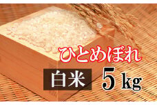 【令和7年産】 新米 10月中旬発送開始予定 ひとめぼれ 精米 5kg ／  かきのうえ こめ 米 コメ お米 おこめ ご飯 ごはん 白米 白飯 おにぎり お弁当 仕送り お取り寄せ 産地直送 単一原料米 国産 国産米 東北 岩手県産 八幡平市産 おすすめ