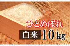【令和7年産】 新米 10月中旬発送開始予定 ひとめぼれ 精米 10kg ／ かきのうえ こめ 米 コメ お米 おこめ ご飯 ごはん 白米 白飯 おにぎり お弁当 仕送り お取り寄せ 産地直送 単一原料米 国産 国産米 東北 岩手県産 八幡平市産 おすすめ