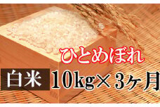 【令和7年産】 新米 11月上旬発送開始予定 ひとめぼれ 精米 10kg×3ヶ月定期便 ／ かきのうえ こめ 米 コメ お米 おこめ ご飯 ごはん 白米 白飯 おにぎり 定期 定期便 お弁当 仕送り お取り寄せ 産地直送 単一原料米 国産 国産米 東北 岩手県産 八幡平市産 おすすめ