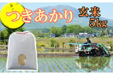 【令和7年産】 新米 10月中旬発送開始予定 つきあかり 玄米 5kg ／ かきのうえ こめ 米 コメ お米 おこめ ご飯 ごはん げんまい おにぎり お弁当 仕送り お取り寄せ 産地直送 単一原料米 国産 国産米 東北 岩手県産 八幡平市産 おすすめ