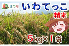 【令和7年産】 新米 11月中旬発送開始予定 いわてっこ 精米 5kg×1袋 ／ せの畑 こめ 米 コメ お米 おこめ ご飯 ごはん 白米 白飯 おにぎり お弁当 仕送り お取り寄せ 産地直送 農家直送 単一原料米 国産 国産米 東北 岩手県産 八幡平市産 おすすめ
