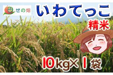 【令和7年産】 新米 11月中旬発送開始予定 いわてっこ 精米 10kg×1袋 ／ せの畑 こめ 米 コメ お米 おこめ ご飯 ごはん 白米 白飯 おにぎり お弁当 仕送り お取り寄せ 産地直送 農家直送 単一原料米 国産 国産米 東北 岩手県産 八幡平市産 おすすめ