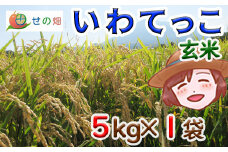 【令和7年産】 新米 11月中旬発送開始予定 いわてっこ 玄米 5kg×1袋 ／ せの畑 こめ 米 コメ お米 おこめ ご飯 ごはん げんまい おにぎり お弁当 仕送り お取り寄せ 産地直送 農家直送 単一原料米 国産 国産米 東北 岩手県産 八幡平市産 おすすめ