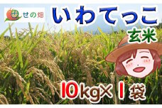 【令和7年産】 新米 11月中旬発送開始予定 いわてっこ 玄米 10kg×1袋 ／ せの畑 こめ 米 コメ お米 おこめ ご飯 ごはん げんまい おにぎり お弁当 仕送り お取り寄せ 産地直送 農家直送 単一原料米 国産 国産米 東北 岩手県産 八幡平市産 おすすめ
