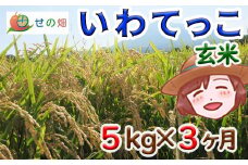 【令和7年産】 新米 11月中旬発送開始予定 いわてっこ 玄米 5kg×3ヶ月定期便 ／ せの畑 こめ 米 コメ お米 おこめ ご飯 ごはん げんまい おにぎり お弁当 仕送り お取り寄せ 産地直送 農家直送 単一原料米 国産 国産米 東北 岩手県産 八幡平市産 おすすめ 定期 定期便