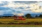 稲刈りの様子。山と雲の隙間から天使のはしごがきれいに差し込みました