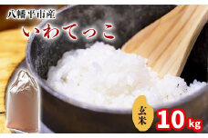 【令和7年産】 新米 11月中旬発送開始予定 いわてっこ 玄米 10kg （5kg×2袋） ／ 中沢農産 こめ 米 コメ お米 おこめ ご飯 ごはん げんまい おにぎり お弁当 仕送り お取り寄せ 産地直送 農家直送 単一原料米 国産 国産米 東北 岩手県産 八幡平市産 おすすめ