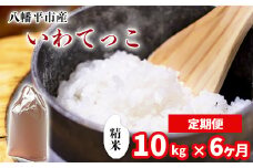 【令和7年産】 新米 11月中旬発送開始予定 いわてっこ 精米 10kg （5kg×2袋） × 6ヶ月定期便 ／ 中沢農産 こめ 米 コメ お米 おこめ ご飯 ごはん 白米 白飯 おにぎり お弁当 仕送り お取り寄せ 産地直送 農家直送 単一原料米 国産 国産米 東北 岩手県産 八幡平市産 おすすめ 定期便 定期