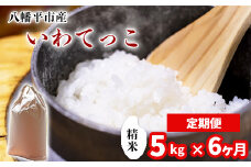 【令和7年産】 新米 11月中旬発送開始予定 いわてっこ 精米 5kg×6ヶ月定期便 ／ 中沢農産 こめ 米 コメ お米 おこめ ご飯 ごはん 白米 白飯 おにぎり お弁当 仕送り お取り寄せ 産地直送 農家直送 単一原料米 国産 国産米 東北 岩手県産 八幡平市産 おすすめ 定期 定期便