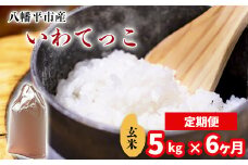 【令和7年産】 新米 11月中旬発送開始予定 いわてっこ 玄米 5kg×6ヶ月定期便 ／ 中沢農産 こめ 米 コメ お米 おこめ ご飯 ごはん げんまい おにぎり お弁当 仕送り お取り寄せ 産地直送 農家直送 単一原料米 国産 国産米 東北 岩手県産 八幡平市産 おすすめ 定期 定期便