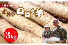 ＜12月発送開始予定＞  岩手県産 土付き ねばり芋 3kg 【松浦農園】 ／ 長いも 長芋 ながいも ねばり芋 ねばりいも 山芋 やまいも 山いも やま芋 農家直送 産地直送 とろろ とろろご飯 ご飯のおとも ご飯のお供 やまかけ 山かけ 旬 新鮮 野菜 八幡平市産